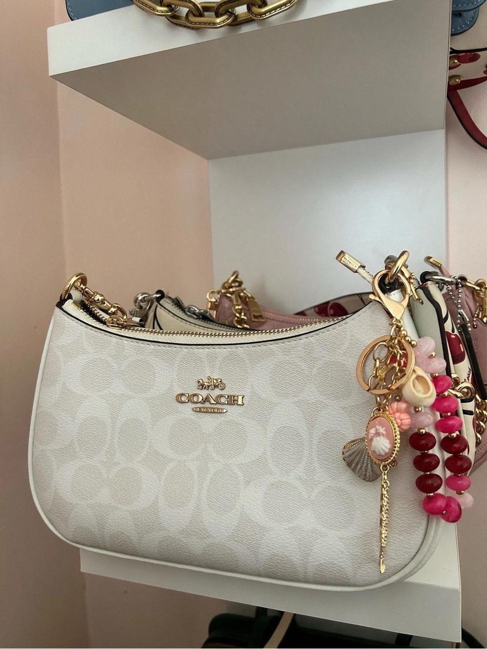 Coach Teri Shoulder Bag